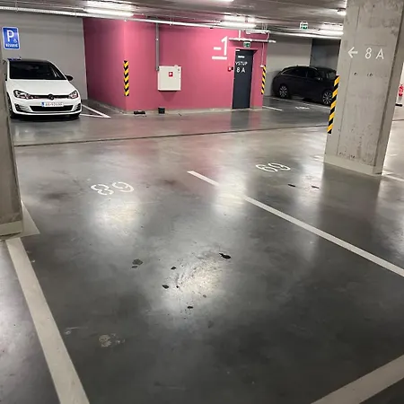 Golden Sunflower * ブラチスラヴァ