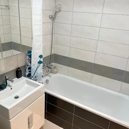 Golden Sunflower * 브라티슬라바