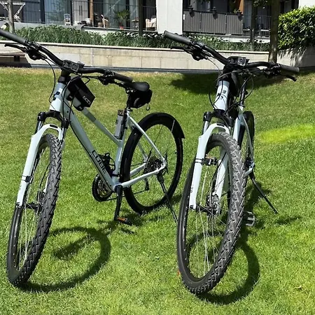 Golden Sunflower 브라티슬라바